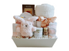 Baby Girl Gift Basket Delivery in Calgary Alberta by A Basket Case